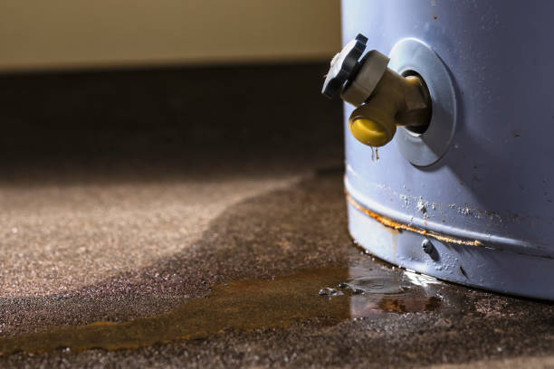 Best Mold removal after water damage  in Diablo Grande, CA
