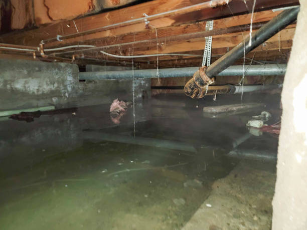 Best Commercial water damage restoration  in Diablo Grande, CA