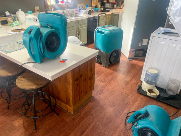 Best 24/7 water damage repair  in Diablo Grande, CA