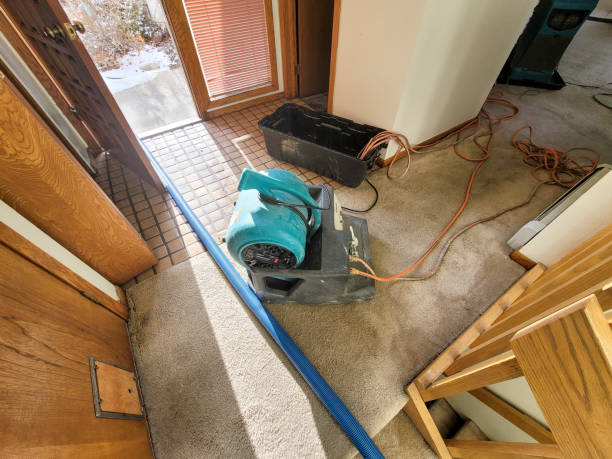 Best 24-hour water damage restoration  in Diablo Grande, CA