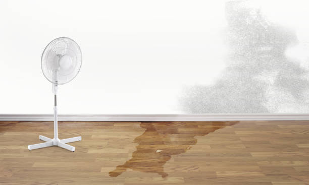 Best 24/7 water damage repair  in Diablo Grande, CA