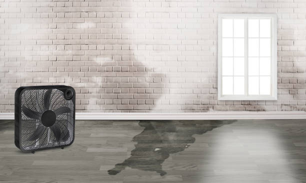 Best Water damage restoration company  in Diablo Grande, CA