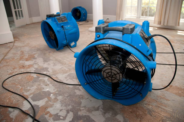 Best Water damage cleanup near me  in Diablo Grande, CA