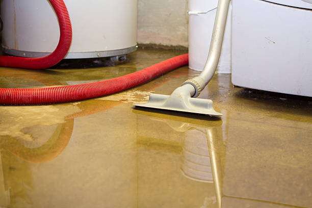 Best Sewage cleanup and water damage restoration  in Diablo Grande, CA