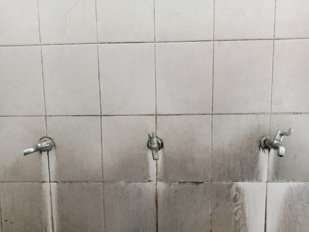 Best Carpet water damage restoration  in Diablo Grande, CA