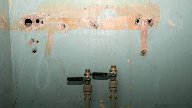 Best Flooded house restoration  in Diablo Grande, CA