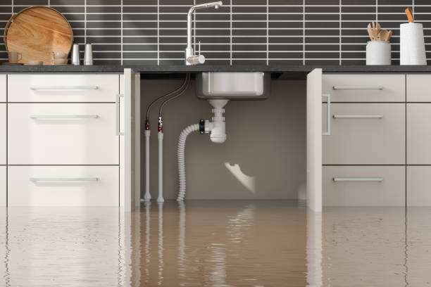 Best Flood damage cleanup  in Diablo Grande, CA