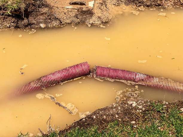 Best Water damage restoration near me  in Diablo Grande, CA