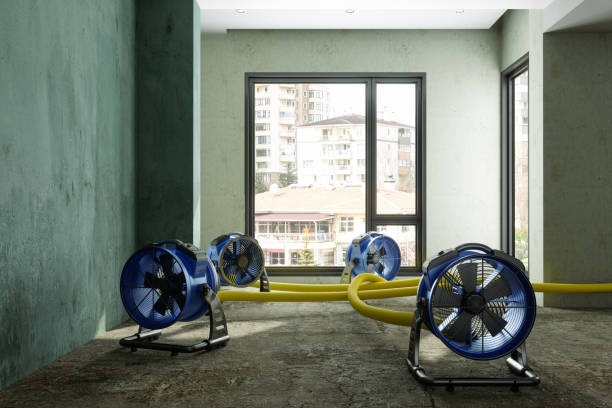 Best Water damage restoration near me  in Diablo Grande, CA